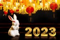 Chinese New Year 2023 - year of rabbit according to the lunar calendar, Chinese zodiac symbol Royalty Free Stock Photo