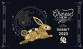 Chinese new year of rabbit 2023 card gold bunny cartoon in black background
