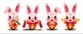 Chinese New Year Rabbit 2023. Collection set of cute rabbit cartoon character holding festive element