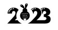 2023 rabbit new year