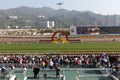 Chinese New Year Raceday