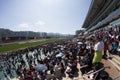 Chinese New Year Raceday in Hong Kong Royalty Free Stock Photo