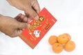 Chinese New Year Red Packet Royalty Free Stock Photo