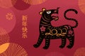 2022 Chinese New Year tiger, fireworks design