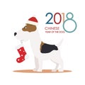 2018 Chinese New Year