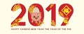 2019 Chinese New Year - Year of the pig