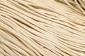 Chinese noodle,uncook Royalty Free Stock Photo