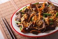 Chinese noodles with beef, muer and vegetables close-up. horizon Royalty Free Stock Photo