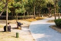 Chinese office workers resting in a park