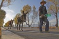 A Chinese old man and his donkeys Royalty Free Stock Photo