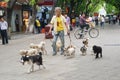 Chinese old man holding a few dogs in the street