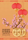 Chinese old money long life New Year Royalty Free Stock Photo