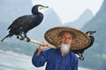 Chinese old person with cormorant for fishing