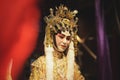 Chinese opera dummy Royalty Free Stock Photo