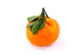 Chinese orange