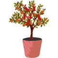 Chinese orange tree vector new year plant icon Royalty Free Stock Photo
