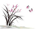 Orchid and butterfly Royalty Free Stock Photo