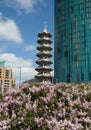 Chinese Pagoda Royalty Free Stock Photo