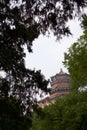 Chinese pagoda framed by green trees