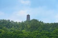 Chinese pagodas Royalty Free Stock Photo