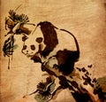 Chinese painting animal panda Royalty Free Stock Photo