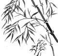 Oriental sumi bamboo painting