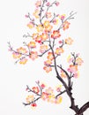 Chinese painting of flowers, plum blossom