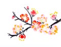 Chinese painting of flowers, plum blossom