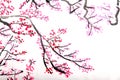 Chinese painting of flowers, plum blossom Royalty Free Stock Photo