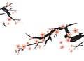 Chinese painting of pink plum Royalty Free Stock Photo