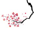 Chinese painting of plum Royalty Free Stock Photo