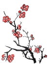 Chinese painting of plum blossom Royalty Free Stock Photo