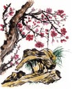 Chinese painting Plum Royalty Free Stock Photo