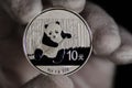 Chinese Panda Silver Coin White Glove