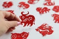 women hand holds Red Chinese zodiac paper cutting Year of the Ox