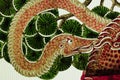 Chinese paper snake