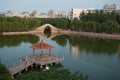 Chinese pavilion and bridge