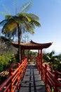 Chinese pavilion and bridge surrounded by wild nature, palm tree and tropical plants in an exotic garden. Royalty Free Stock Photo