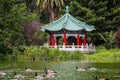 The Chinese Pavilion on the shoreline of Stow Lake; a group of Canada geese swimming on the lake, Golden Gate park, San Francisco Royalty Free Stock Photo