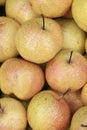 Chinese pear Royalty Free Stock Photo