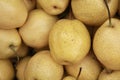 Chinese pear Royalty Free Stock Photo