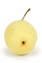 Chinese pear Royalty Free Stock Photo