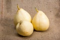 Chinese pear fruit isolated on sack background Royalty Free Stock Photo