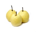 Chinese pear