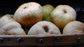 Chinese pears Royalty Free Stock Photo