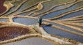 Chinese peasant is walking along the edge of a rice field.