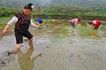 Chinese peasant woman on paddy-field with rice seedlings in hand Royalty Free Stock Photo