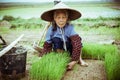 Chinese peasant Royalty Free Stock Photo