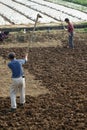 Chinese peasants are ploughing the field Royalty Free Stock Photo