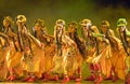 Chinese people folk dance